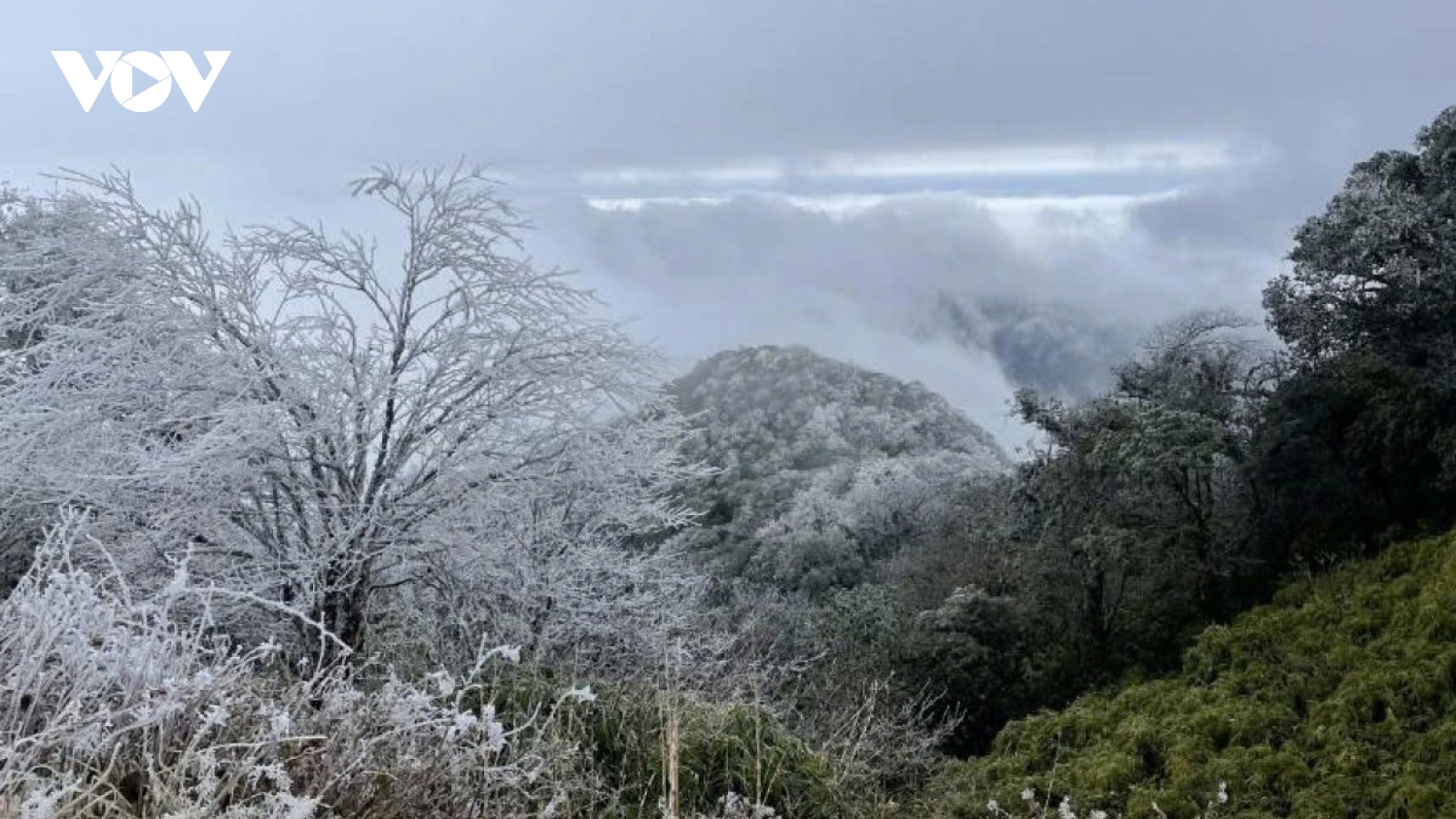 Cold surge brings severe cold to northern Vietnam